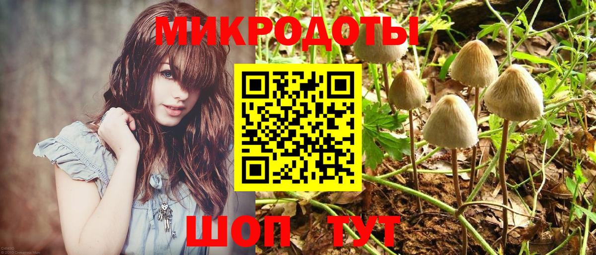 Галлюциногенные грибы Psilocybe  Вход с VPN  Галлюциногенные грибы прущие грибы  Новосибирск 