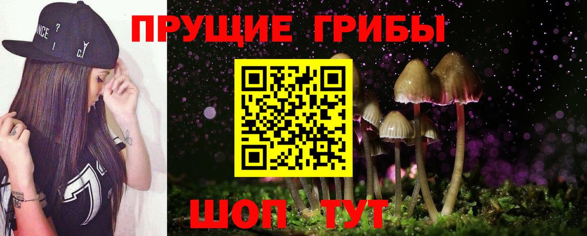 Псилоцибиновые грибы Psilocybine cubensis Новосибирск