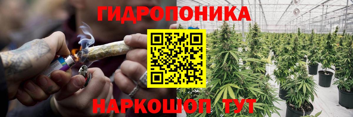 Шишки марихуана Amnesia Новосибирск